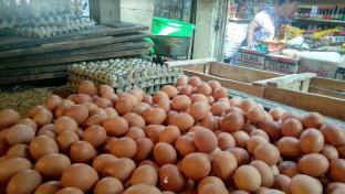 Harga telur ayam di Kota Pekanbaru terus merangkak naik sejak pencairan dana bantuan PKH (foto/int)